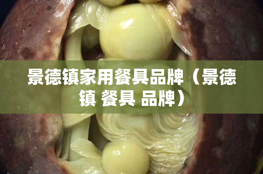 景德鎮(zhèn)家用餐具品牌（景德鎮(zhèn) 餐具 品牌）