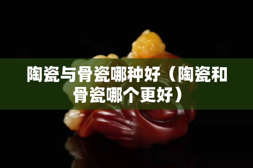 陶瓷與骨瓷哪種好（陶瓷和骨瓷哪個更好）