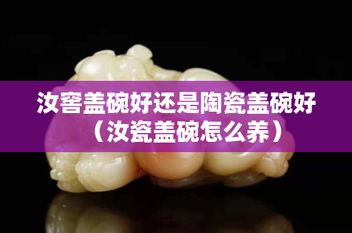 汝窖蓋碗好還是陶瓷蓋碗好（汝瓷蓋碗怎么養(yǎng)）