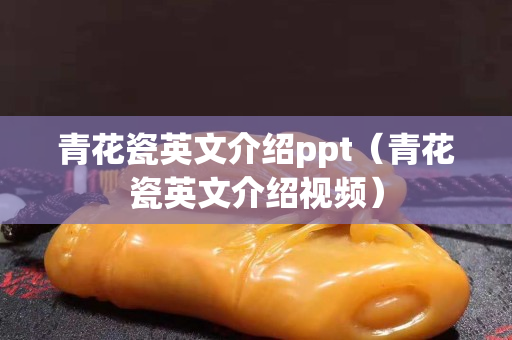 青花瓷英文介紹ppt（青花瓷英文介紹視頻）