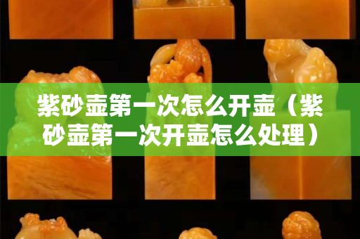 紫砂壺第一次怎么開壺（紫砂壺第一次開壺怎么處理）