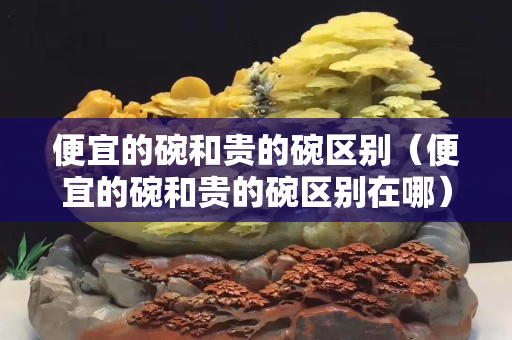 便宜的碗和貴的碗?yún)^(qū)別（便宜的碗和貴的碗?yún)^(qū)別在哪）