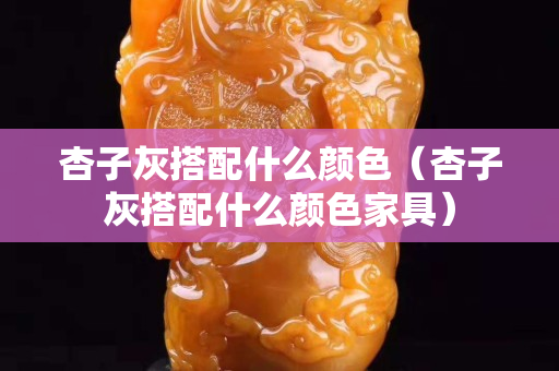 杏子灰搭配什么顏色（杏子灰搭配什么顏色家具）