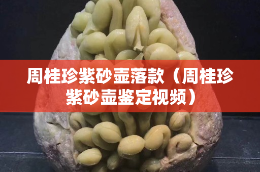 周桂珍紫砂壺落款（周桂珍紫砂壺鑒定視頻）