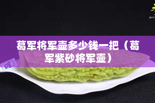 葛軍將軍壺多少錢一把（葛軍紫砂將軍壺）