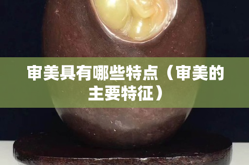 審美具有哪些特點（審美的主要特征）