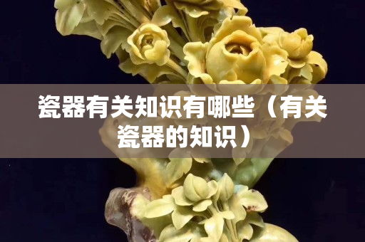 瓷器有關(guān)知識(shí)有哪些（有關(guān)瓷器的知識(shí)）
