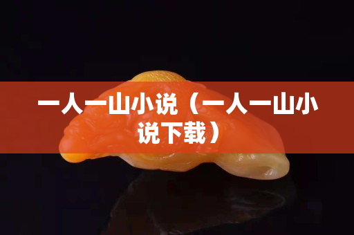 一人一山小說（一人一山小說下載）