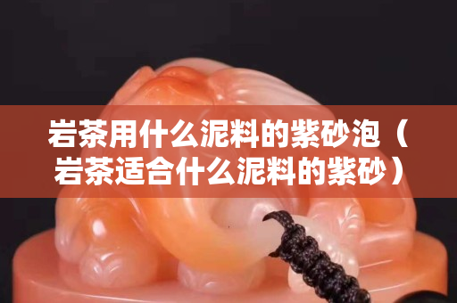 巖茶用什么泥料的紫砂泡（巖茶適合什么泥料的紫砂）