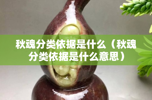 秋魂分類依據是什么（秋魂分類依據是什么意思）
