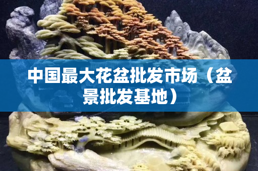 中國最大花盆批發市場（盆景批發基地）