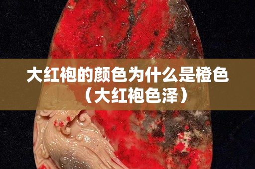 大紅袍的顏色為什么是橙色（大紅袍色澤）