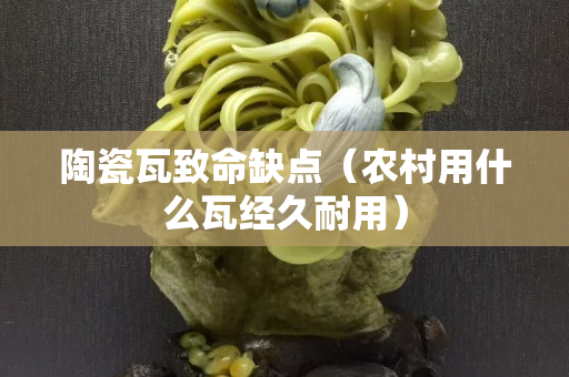 陶瓷瓦致命缺點（農村用什么瓦經久耐用）