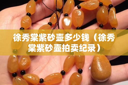 徐秀棠紫砂壺多少錢（徐秀棠紫砂壺拍賣紀錄）