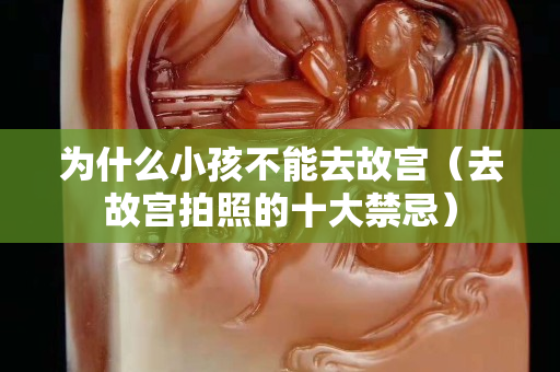 為什么小孩不能去故宮（去故宮拍照的十大禁忌）
