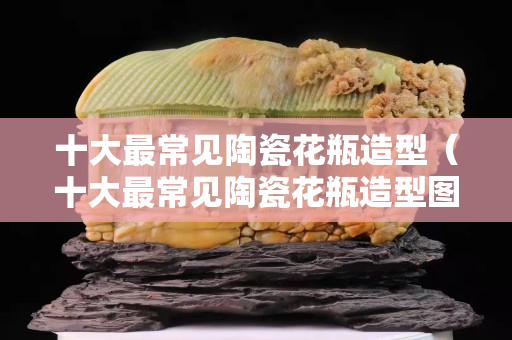 十大最常見陶瓷花瓶造型（十大最常見陶瓷花瓶造型圖片）