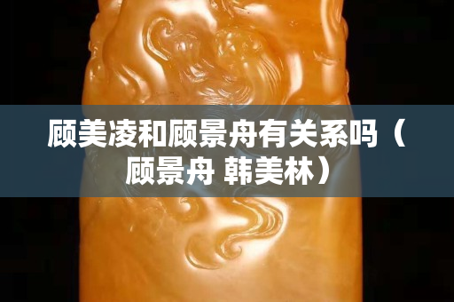 顧美凌和顧景舟有關系嗎（顧景舟 韓美林）