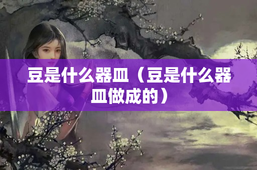 豆是什么器皿（豆是什么器皿做成的）