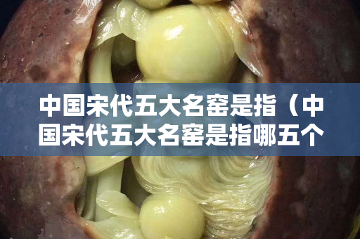 中國(guó)宋代五大名窯是指（中國(guó)宋代五大名窯是指哪五個(gè)）