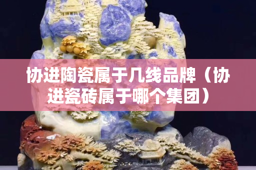 協進陶瓷屬于幾線品牌（協進瓷磚屬于哪個集團）
