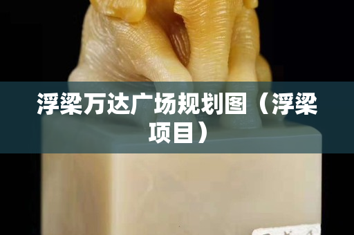 浮梁萬達廣場規劃圖（浮梁項目）