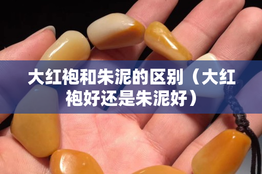 大紅袍和朱泥的區別（大紅袍好還是朱泥好）