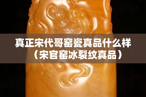 真正宋代哥窯瓷真品什么樣（宋官窯冰裂紋真品）