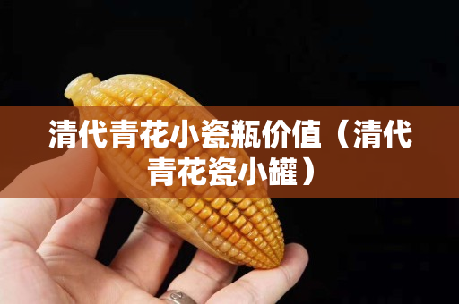清代青花小瓷瓶價值（清代青花瓷小罐）