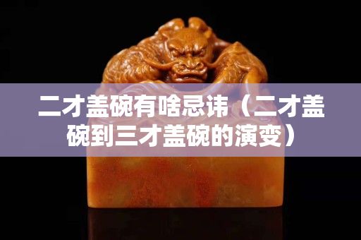 二才蓋碗有啥忌諱（二才蓋碗到三才蓋碗的演變）