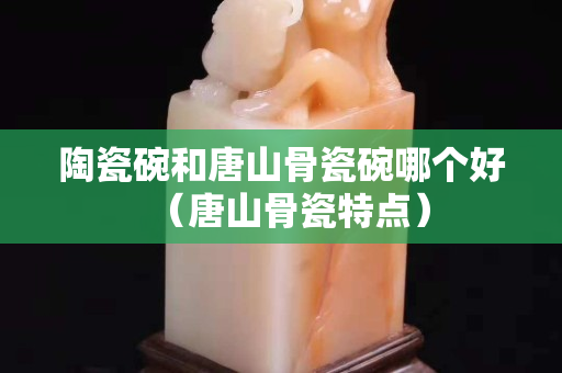 陶瓷碗和唐山骨瓷碗哪個好（唐山骨瓷特點）