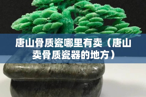 唐山骨質瓷哪里有賣（唐山賣骨質瓷器的地方）