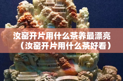 汝窯開片用什么茶養最漂亮（汝窯開片用什么茶好看）