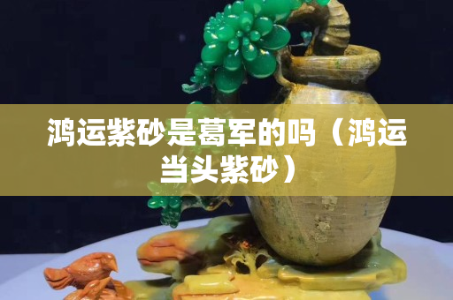鴻運紫砂是葛軍的嗎（鴻運當頭紫砂）