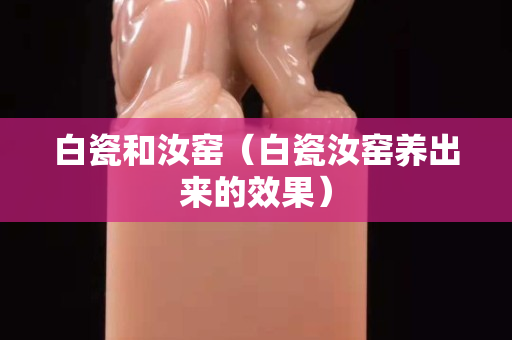 白瓷和汝窯（白瓷汝窯養出來的效果）