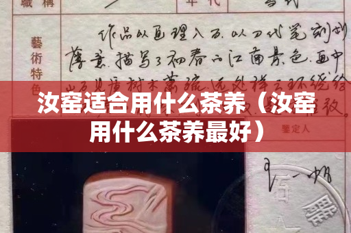 汝窯適合用什么茶養（汝窯用什么茶養最好）