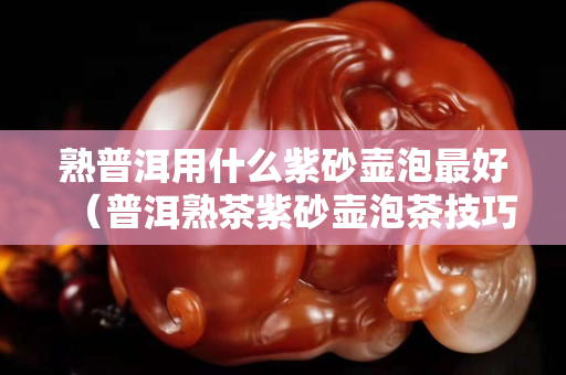 熟普洱用什么紫砂壺泡最好（普洱熟茶紫砂壺泡茶技巧）