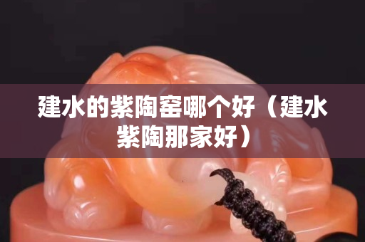建水的紫陶窯哪個好（建水紫陶那家好）