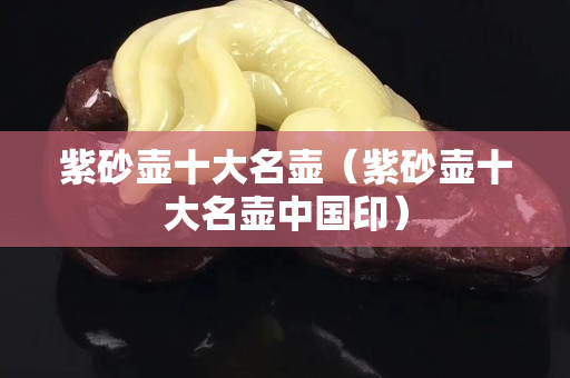 紫砂壺十大名壺（紫砂壺十大名壺中國印）