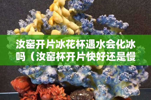 汝窯開片冰花杯遇水會(huì)化冰嗎（汝窯杯開片快好還是慢好）