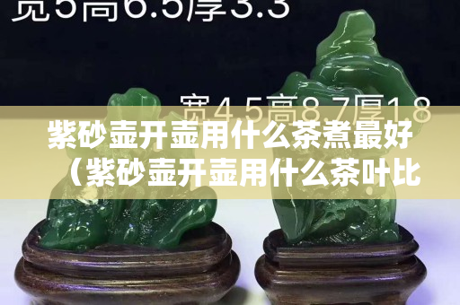 紫砂壺開壺用什么茶煮最好（紫砂壺開壺用什么茶葉比較好）