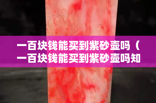 一百塊錢能買到紫砂壺嗎（一百塊錢能買到紫砂壺嗎知乎）