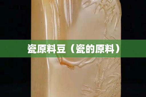 瓷原料豆（瓷的原料）