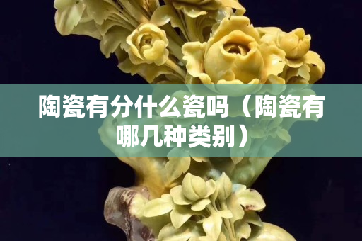陶瓷有分什么瓷嗎（陶瓷有哪幾種類別）