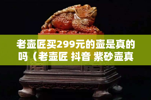 老壺匠買299元的壺是真的嗎（老壺匠 抖音 紫砂壺真假）