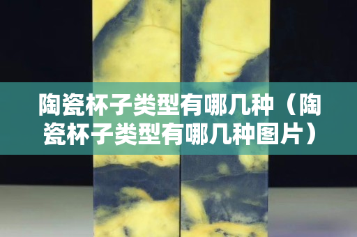 陶瓷杯子類型有哪幾種（陶瓷杯子類型有哪幾種圖片）