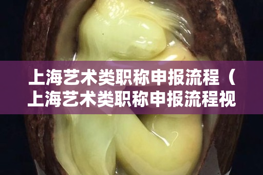 上海藝術類職稱申報流程（上海藝術類職稱申報流程視頻）