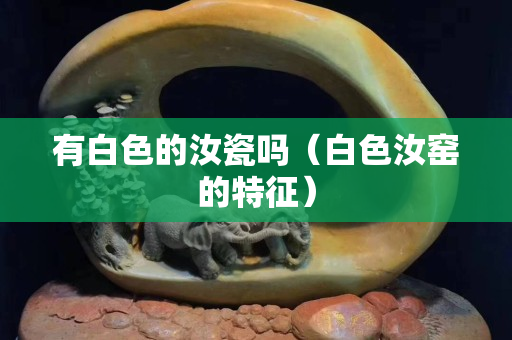 有白色的汝瓷嗎（白色汝窯的特征）