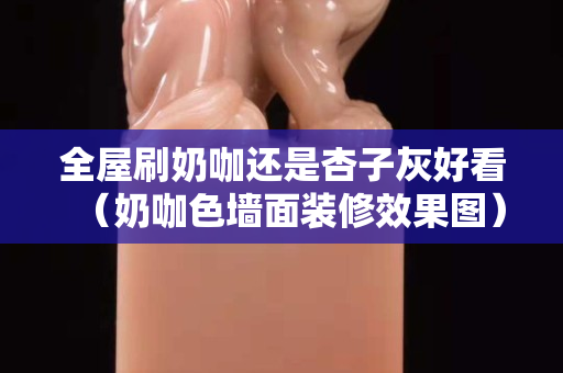 全屋刷奶咖還是杏子灰好看（奶咖色墻面裝修效果圖）
