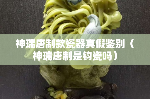 神瑞唐制款瓷器真假鑒別（神瑞唐制是鈞瓷嗎）