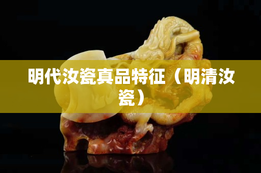 明代汝瓷真品特征（明清汝瓷）